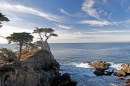 Lone Cypress, Monterey, CA