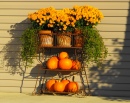 Pumpkin Porch