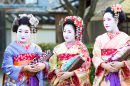 Three Young Geishas in Kyoto