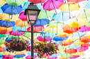 Colorful Umbrellas in Agueda, Portugal