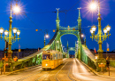 Liberty Bridge In Budapest, Hungary