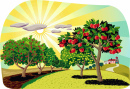 Apple Orchard at Dawn